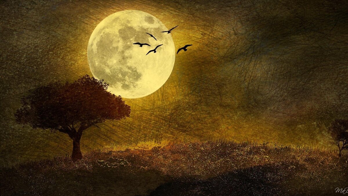 Луна. Фото в свободном доступе.