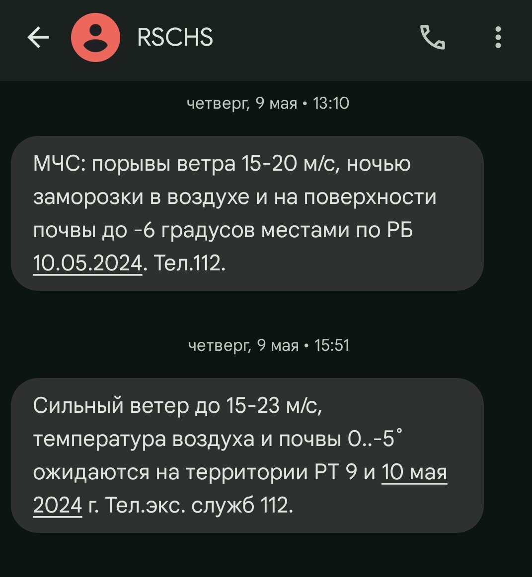 Одна в горы. Часть 9. Чуча и Ураган | Ежиные истории🦔 | Дзен