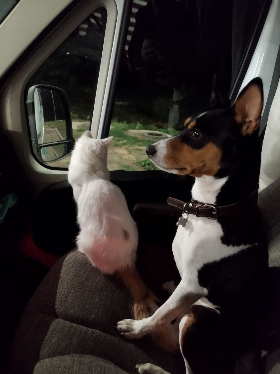 Команда штурманов