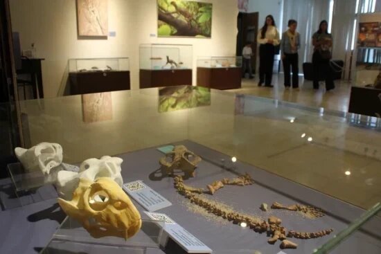    Фото: Олег Серебрянский