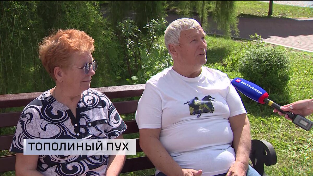    Уфимцы рассказали "Вестям", мешает ли им тополиный пух