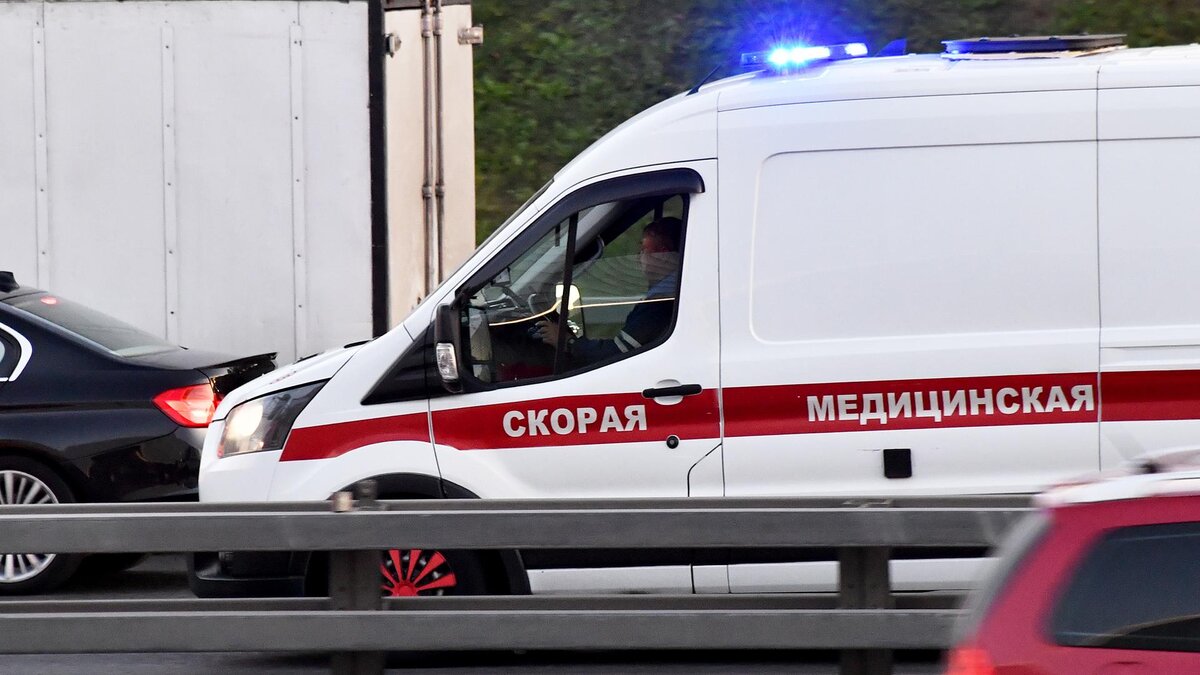 Фото: Vladimir Baranov/globallookpress.com