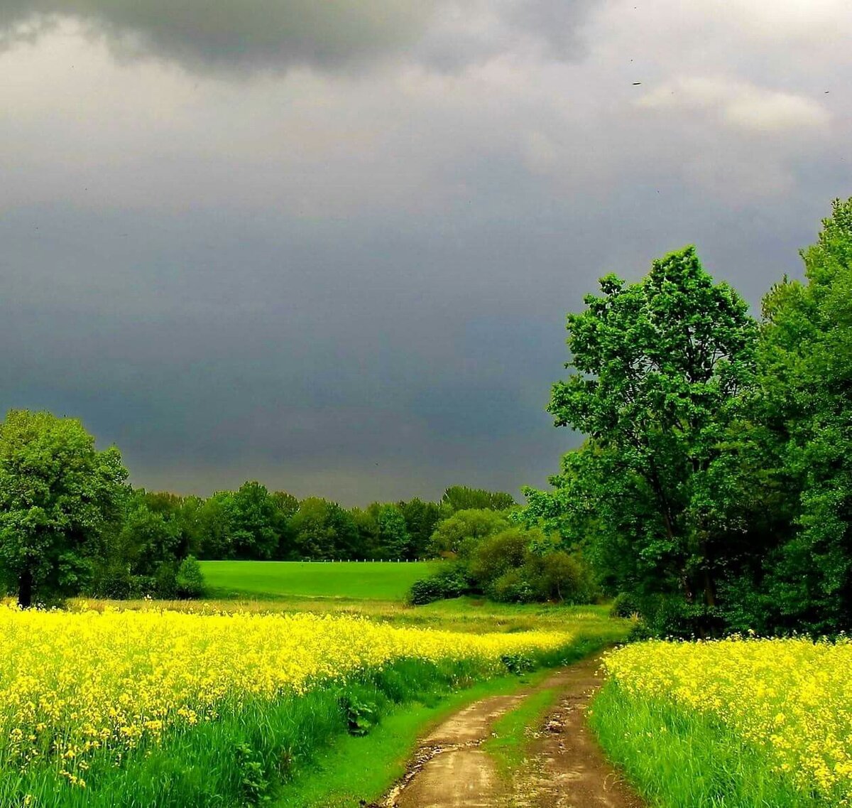 Из открытых источников