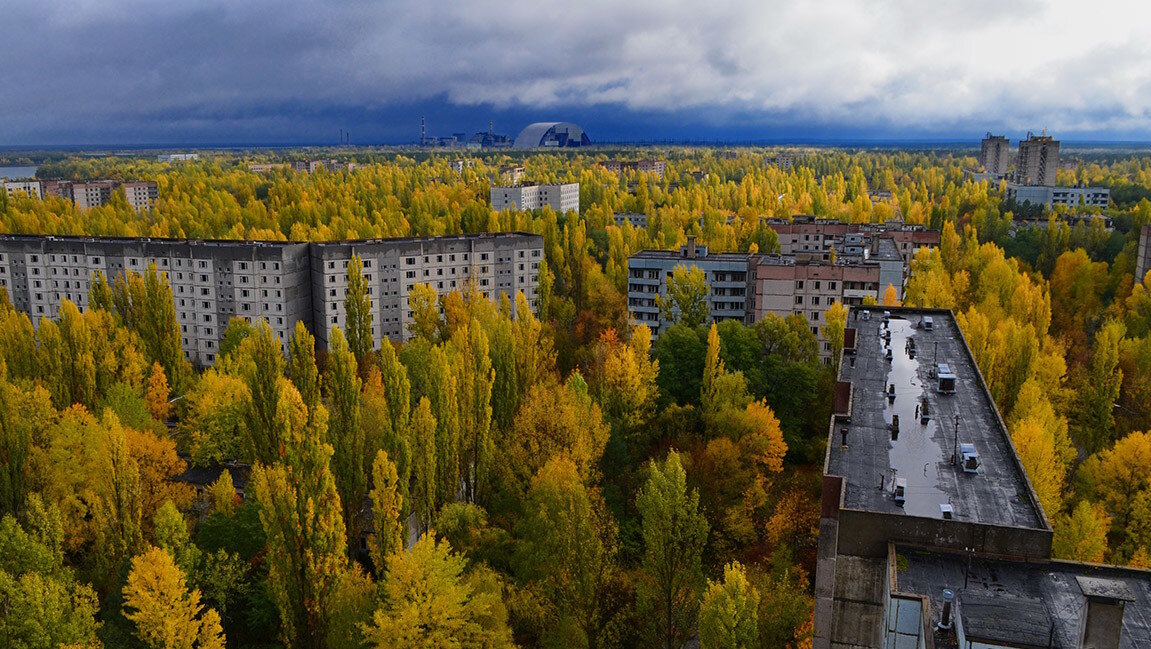 С Припятью связано очень много легенд.
Источник фото: https://puzoterok.net/wp-content/uploads/2019/11/ZHivopisnye-osennie-dzhungli-na-meste-goroda.jpg