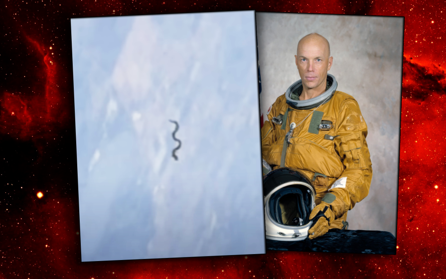 Изображение взято из открытого источника 
