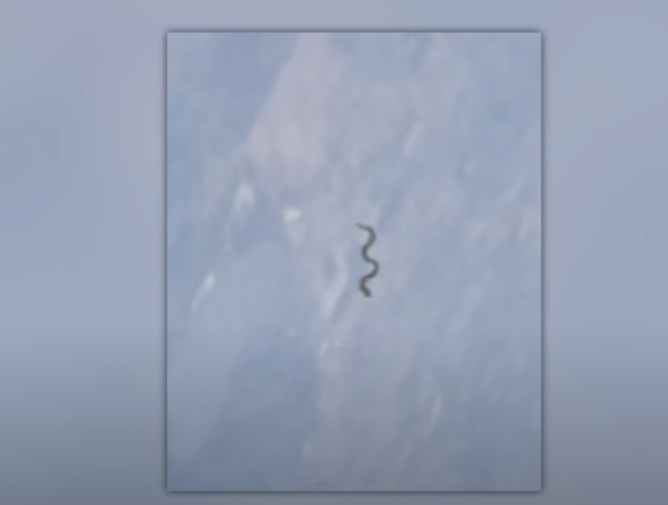 Изображение взято из открытого источника  