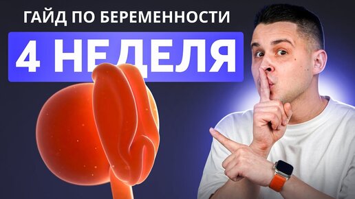 4 НЕДЕЛЯ БЕРЕМЕННОСТИ | Беременность по неделям с доктором Ченчак