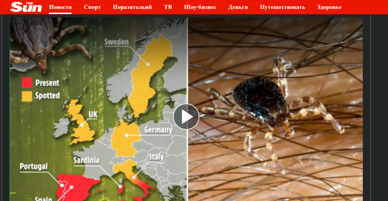    ФОТО: СКРИНШОТ THESUN.CO.UK