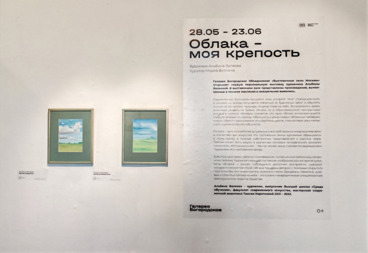 Персональная выставка - Альбины Валеевой «Облака — моя крепость» 