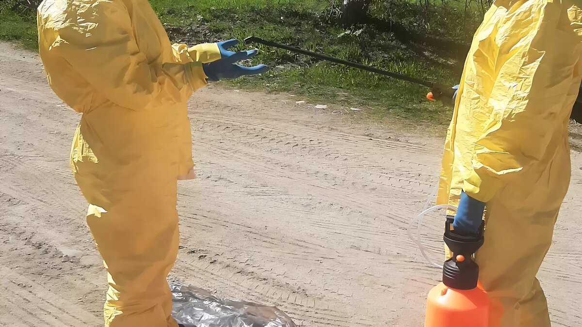     Источник: Роспотребнадзор