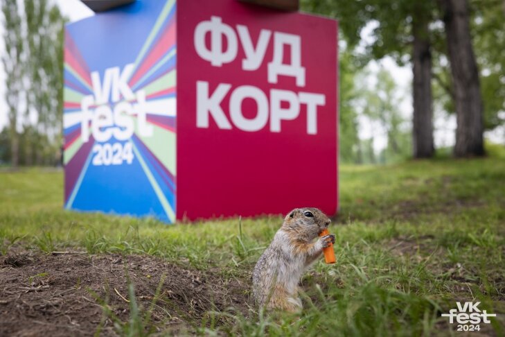 © Фото VN.ru.📷
