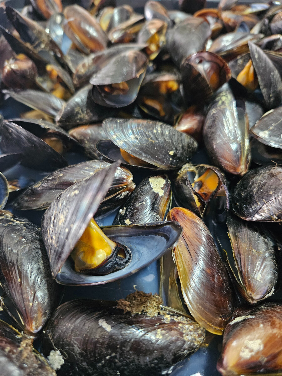 Ждать недолго, минут 10-15