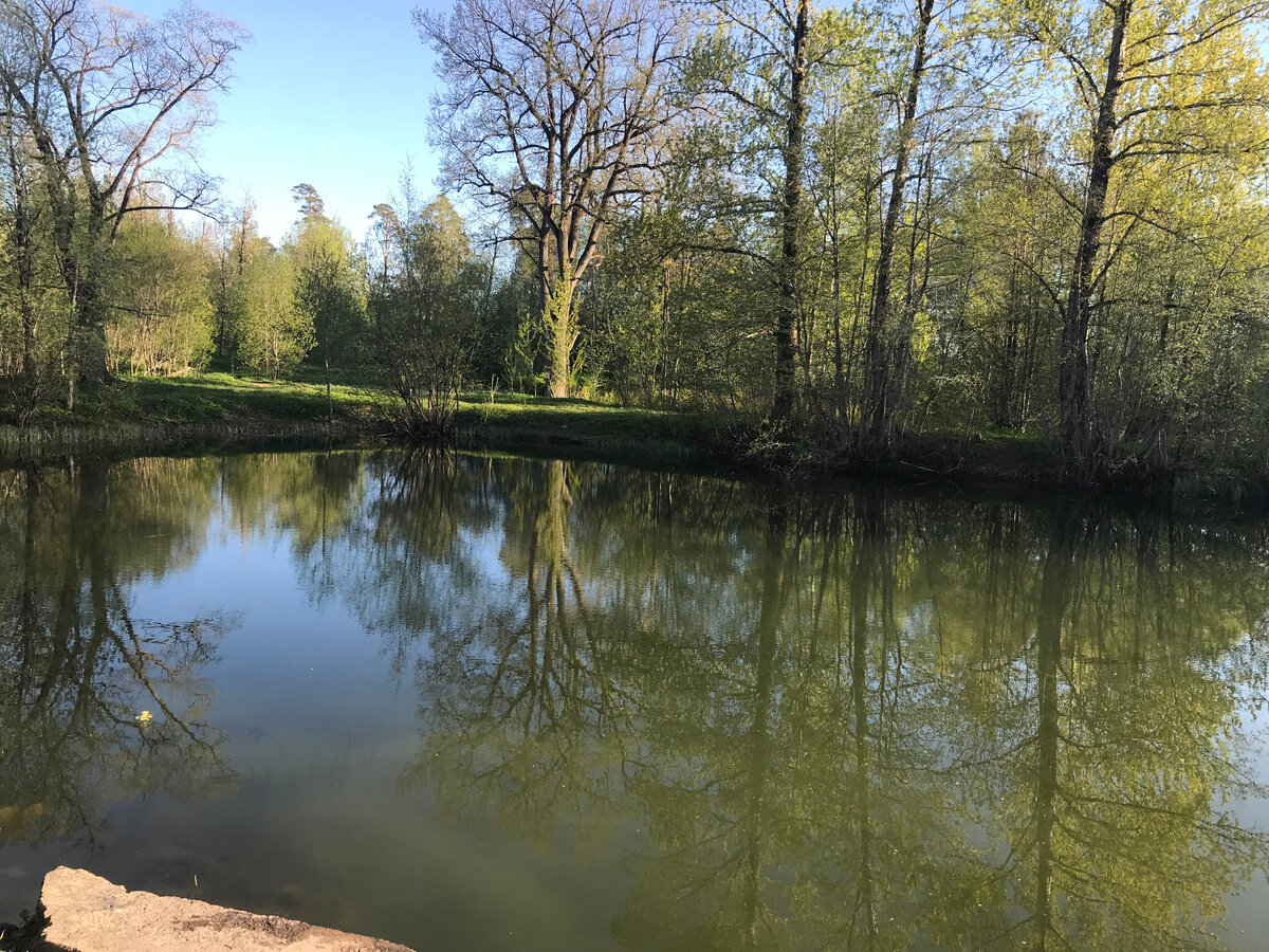 18 мая 2024 18:57 В парке Мерцаловых