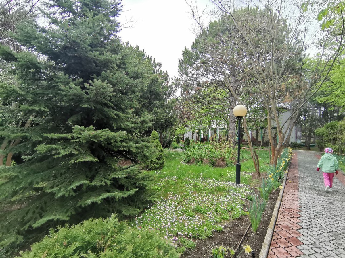 Прекрасная территория пансионата. Фото автора.