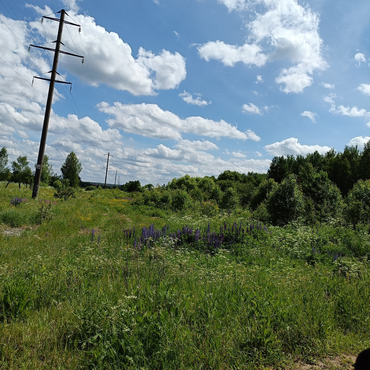 По дороге на дачу