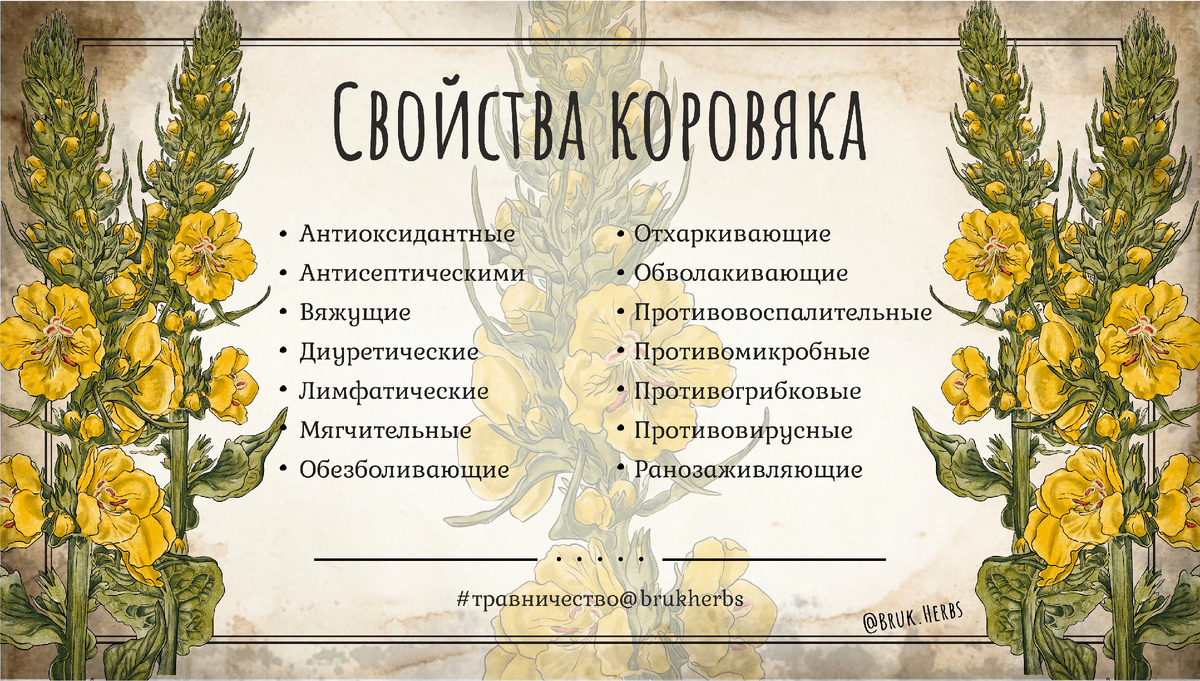 Дизайн @bruk.herbs