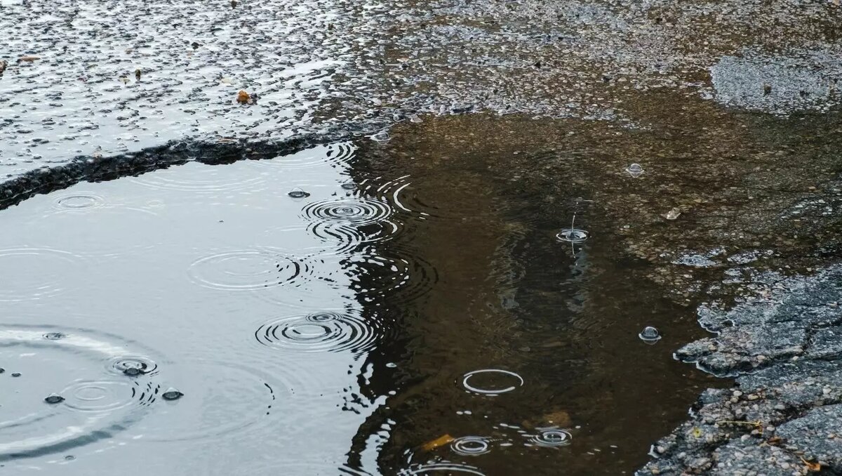     Автор: Unsplash