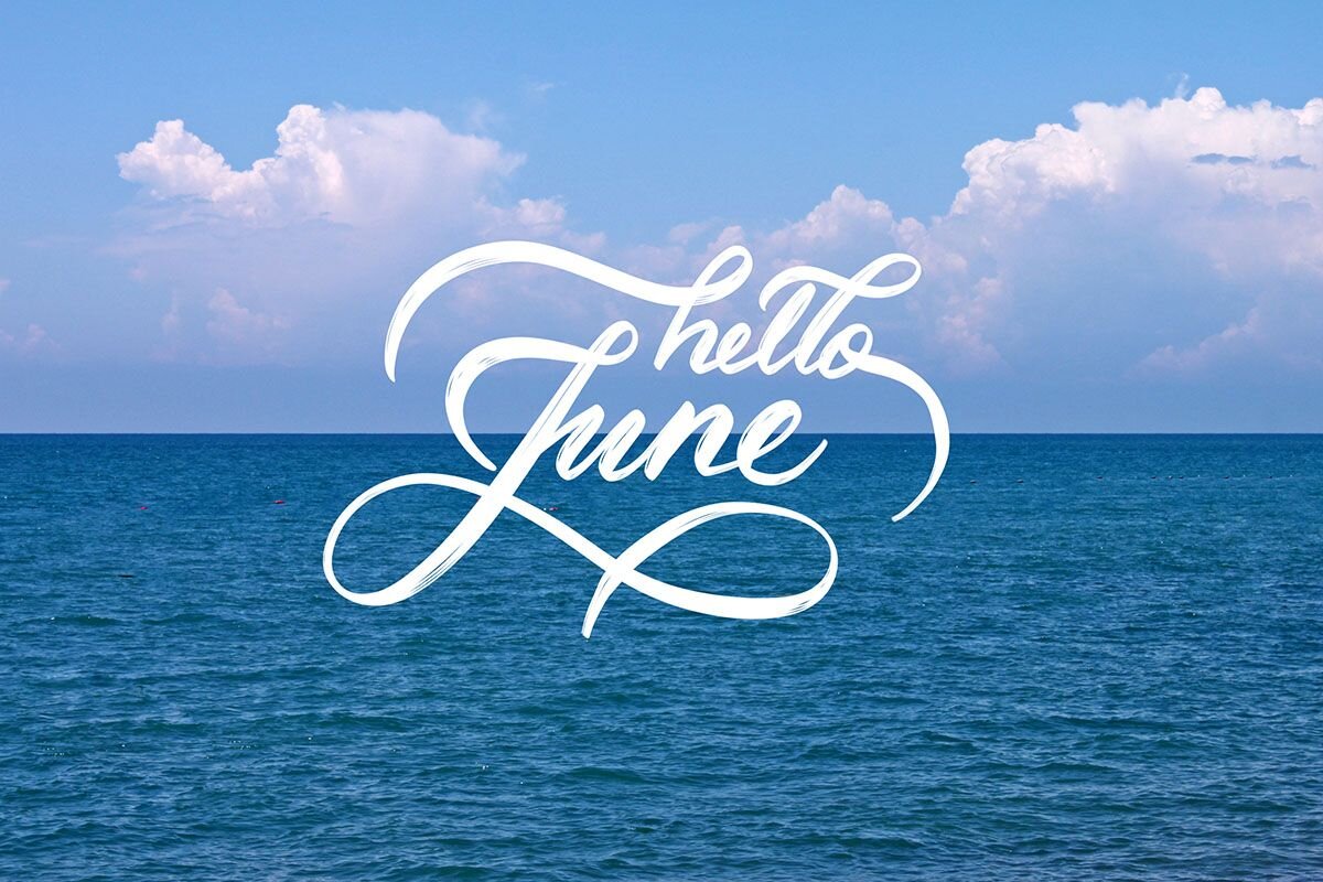 Нравится шрифт? Читайте и узнаете, как распознать его по фото. Источник: Shutterstock📷
