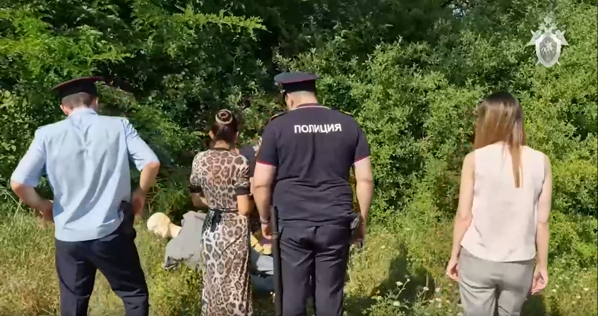 Фото: скрин видео/СК Ставропольского края.