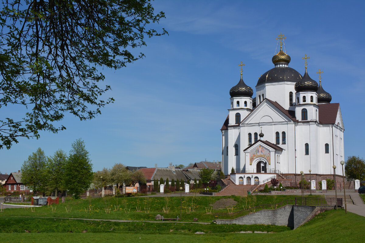 Медвежья академия, сад камней, храмы разных религий - это всё Сморгонь ...