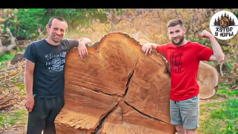 Парни против 300-летнего дуба. Эксклюзивные слэбы. Guys against a 300-year-old oak tree. Exclusive