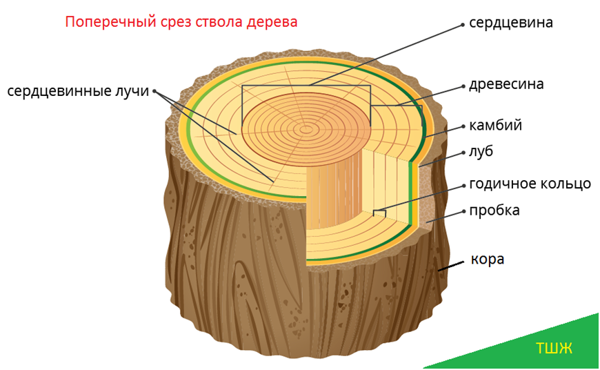 монтаж из картинок Яндекса