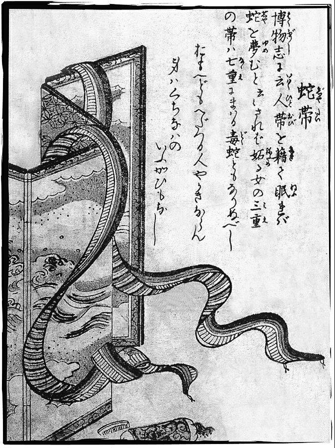 изображение из открытого источника