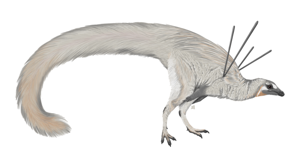 Предполагается, что эти странные палки из плеч нравились динозавровым дамам. Я не дама и не динозавр...