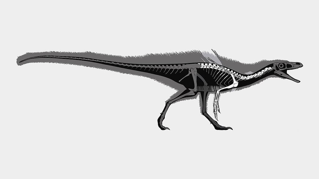 Нашли же эти «палки» благодаря неплохо сохранившейся передней части.