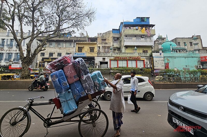    Фото:  АиФ/ Георгий Зотов