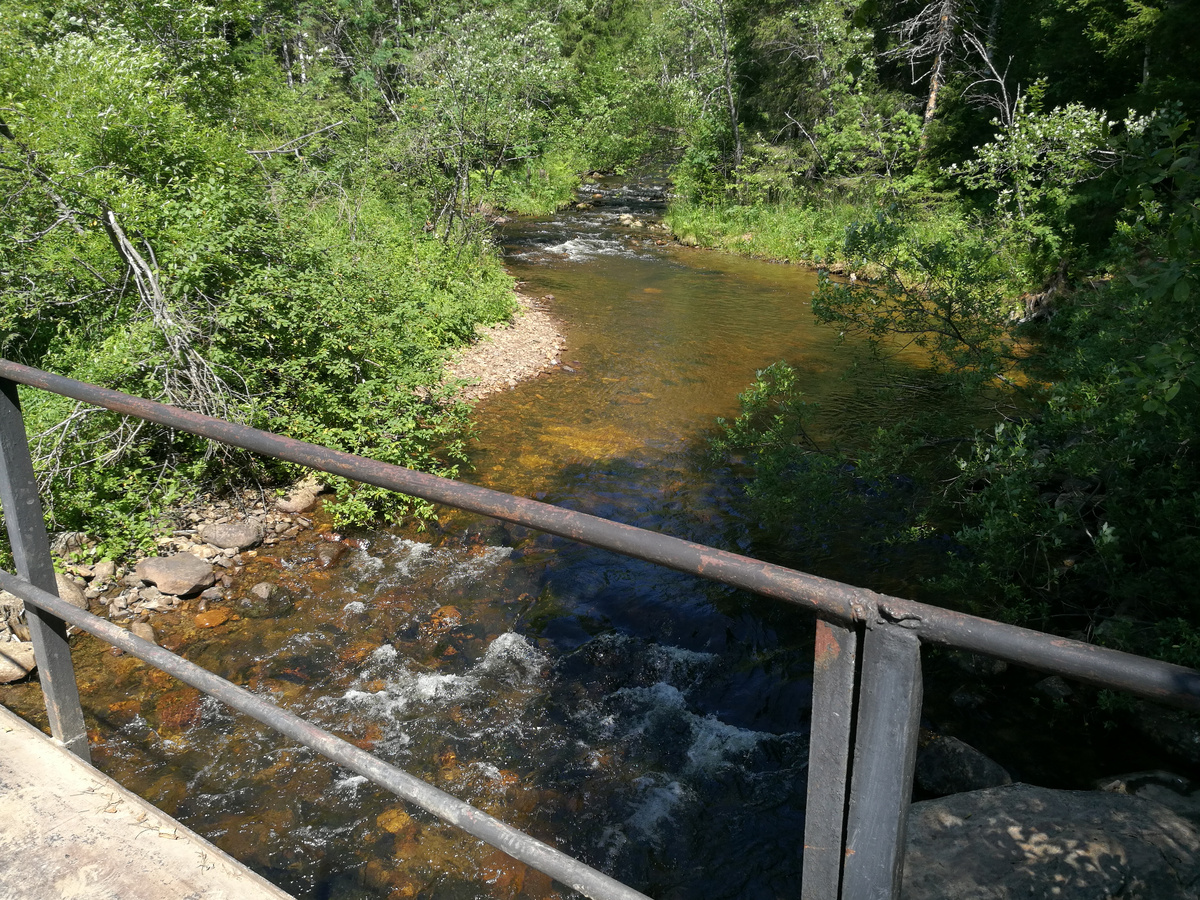 Нижняя тропа. Река спускающаяся от Оленьего моста , что на Верхней тропе