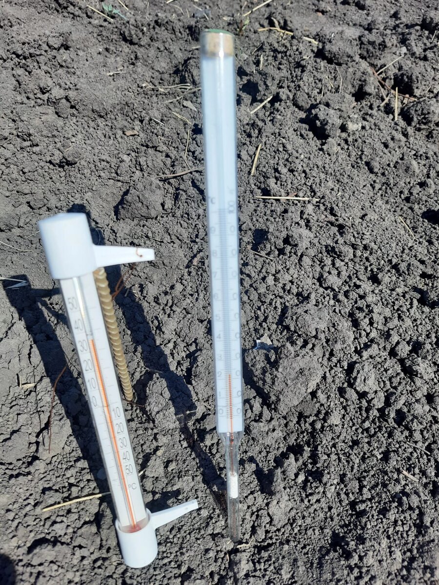 Можно ли поливать растения холодной водой из скважины или колодца. | В ...