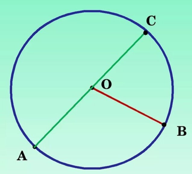 Отрезок ОВ - радиус, отрезок АС - диаметр. Как вы можете заметить, это разные величины. 