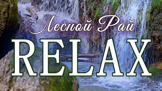 🎵🌴🦜 RELAX MUSIC — ЛЕСНОЙ РАЙ: УСПОКАИВАЮЩАЯ МУЗЫКА ПРИРОДЫ С ВОДОПАДОМ И ПЕНИЕМ ПТИЦ ДЛЯ СНЯТИЯ СТРЕССА, ВНУТРЕННЕГО ПОКОЯ, УМИРОТВОРЕНИЯ