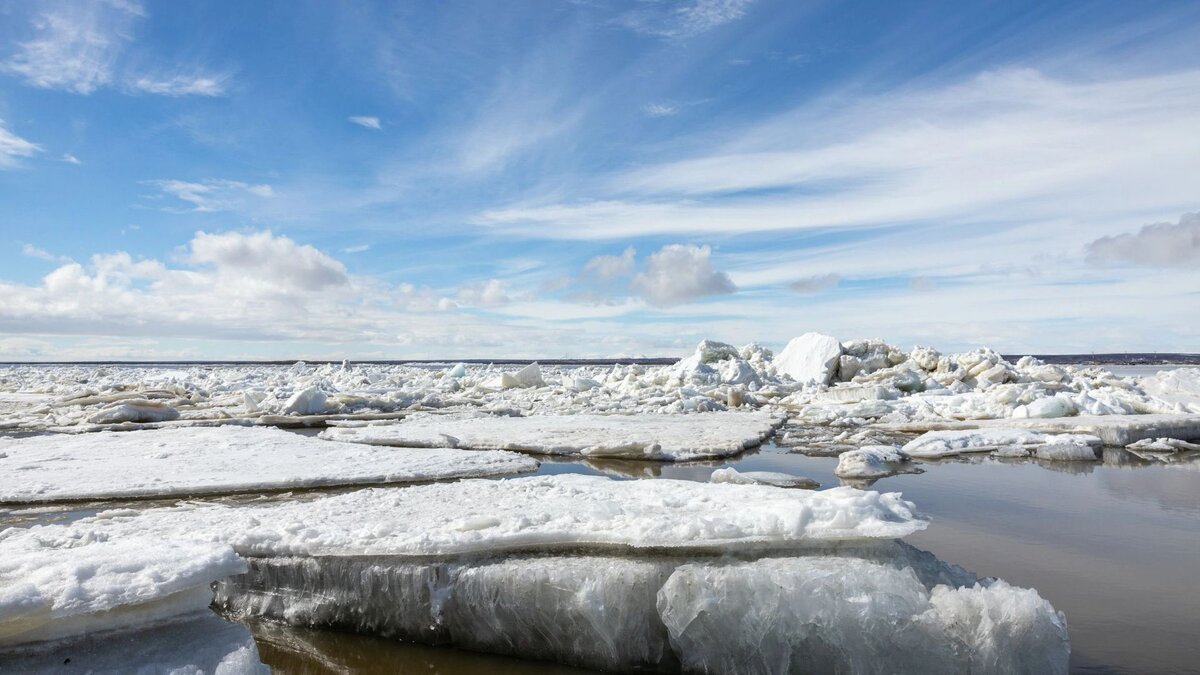 Когда водоемы очистились ото льда