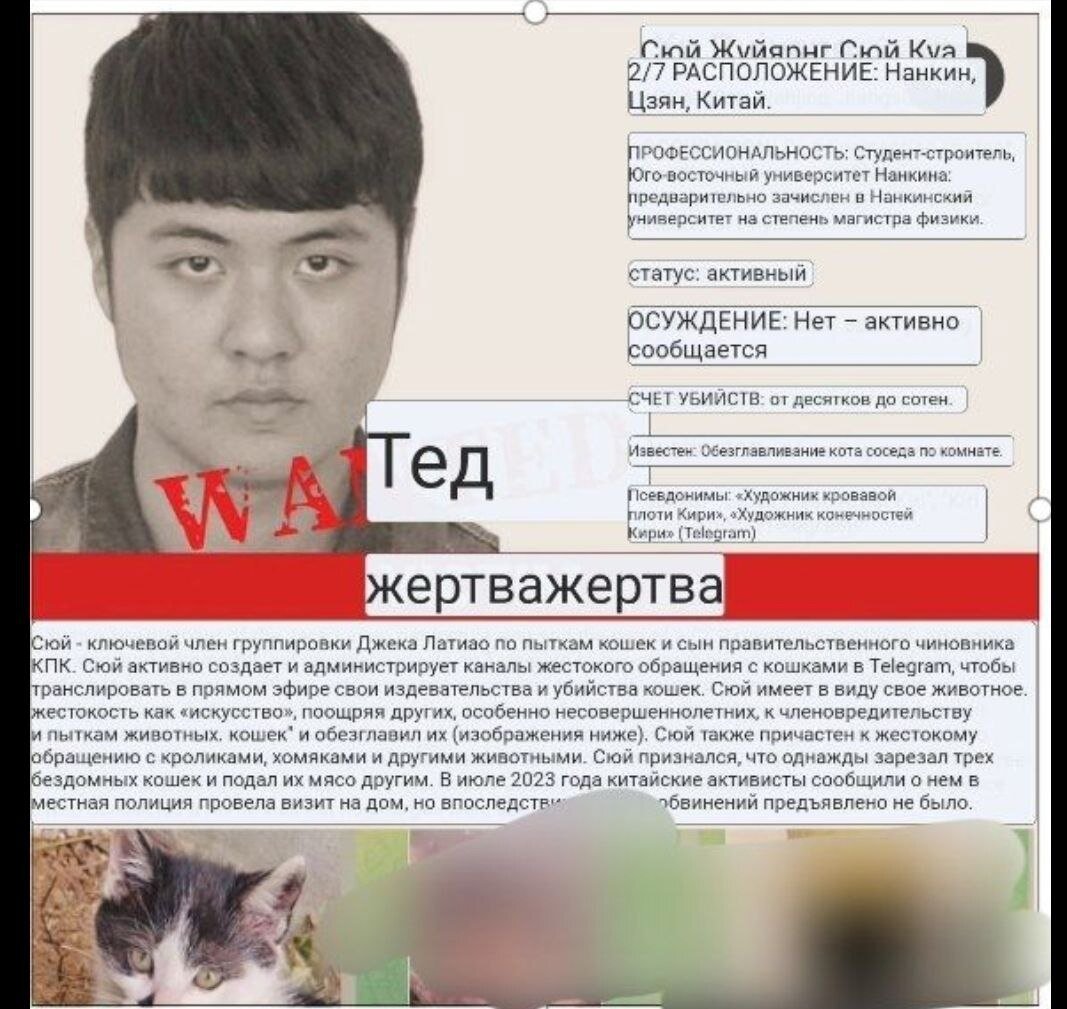 Известная на данный момент информация о личности Сюй. Материал взят из канала "Котята в Китае"