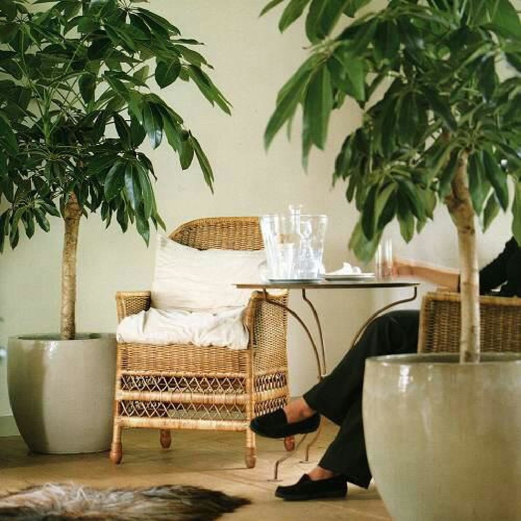 уголок с цветами