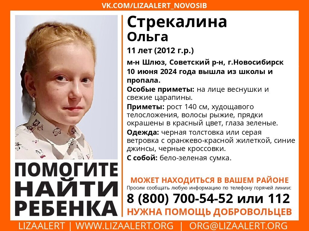 В микрорайоне Шлюз пропала 11-летняя школьница Оля Стрекалина | НДН.ИНФО |  Дзен