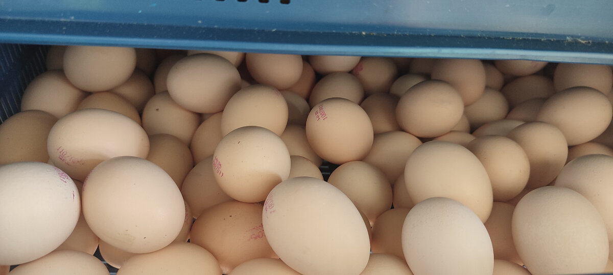 Вот такое "безобразие" 🤗