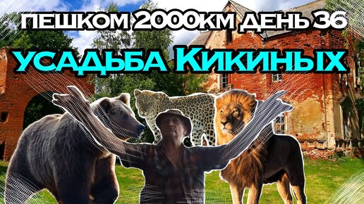 ПЕШКОМ 2000км ДЕНЬ 36 | УСАДЬБА КИКИНЫХ