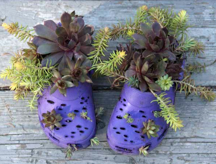 Переработка старой обуви и ботинок в контейнеры для растений и цветов открывает перед вами множество вдохновляющих и креативных проектов DIY, которые помогут украсить ваш двор и сад.-2