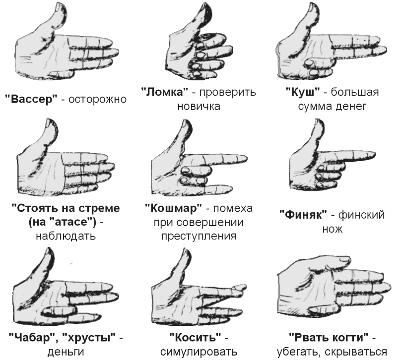 Зона их понятия. Зоновские понятия.