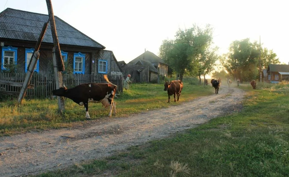 Яндекс картинки
