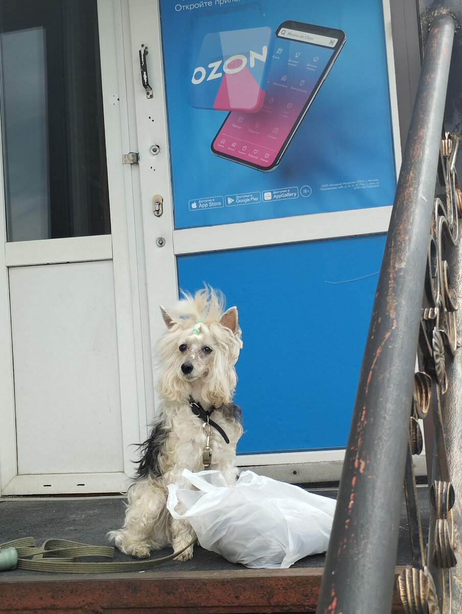 Обычно утром в выходной ходим за заказами.