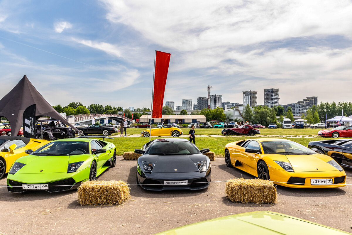 Листайте вправо, чтобы увидеть больше изображений