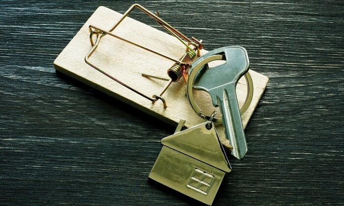    Мошенники нацелились на реновацию