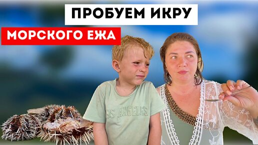 Ребята поймали морских ежей. Кушаем их икру. Отлично проводим время. Жизнь за границей