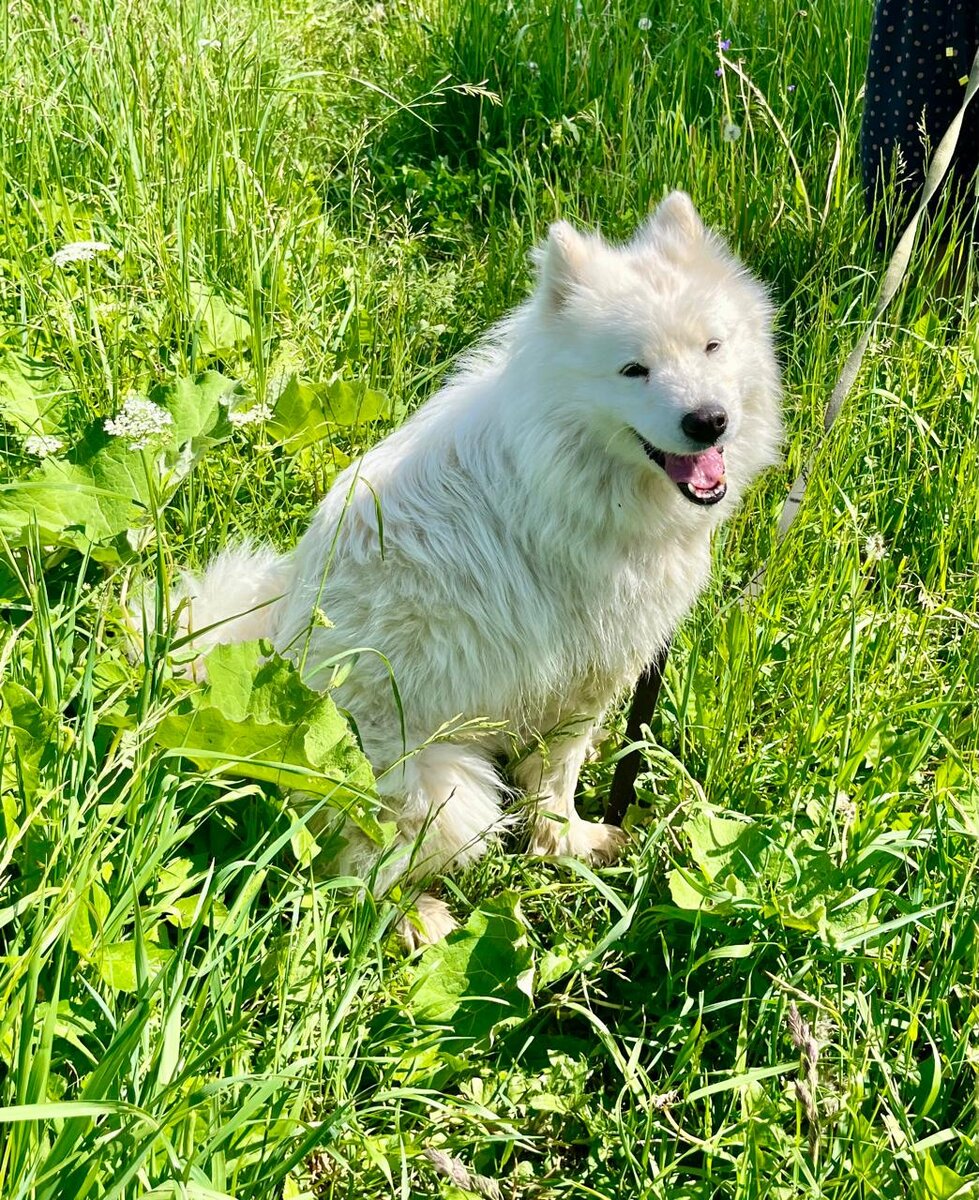 Ума на передержке в Москве