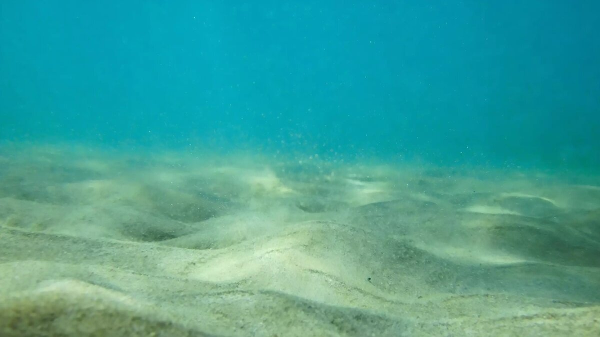     Источник: pxhere.com