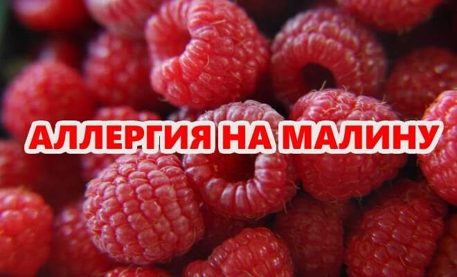 Аллергия на малину: признаки и лечение. Открытая Клиника Дзен